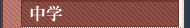 中学
